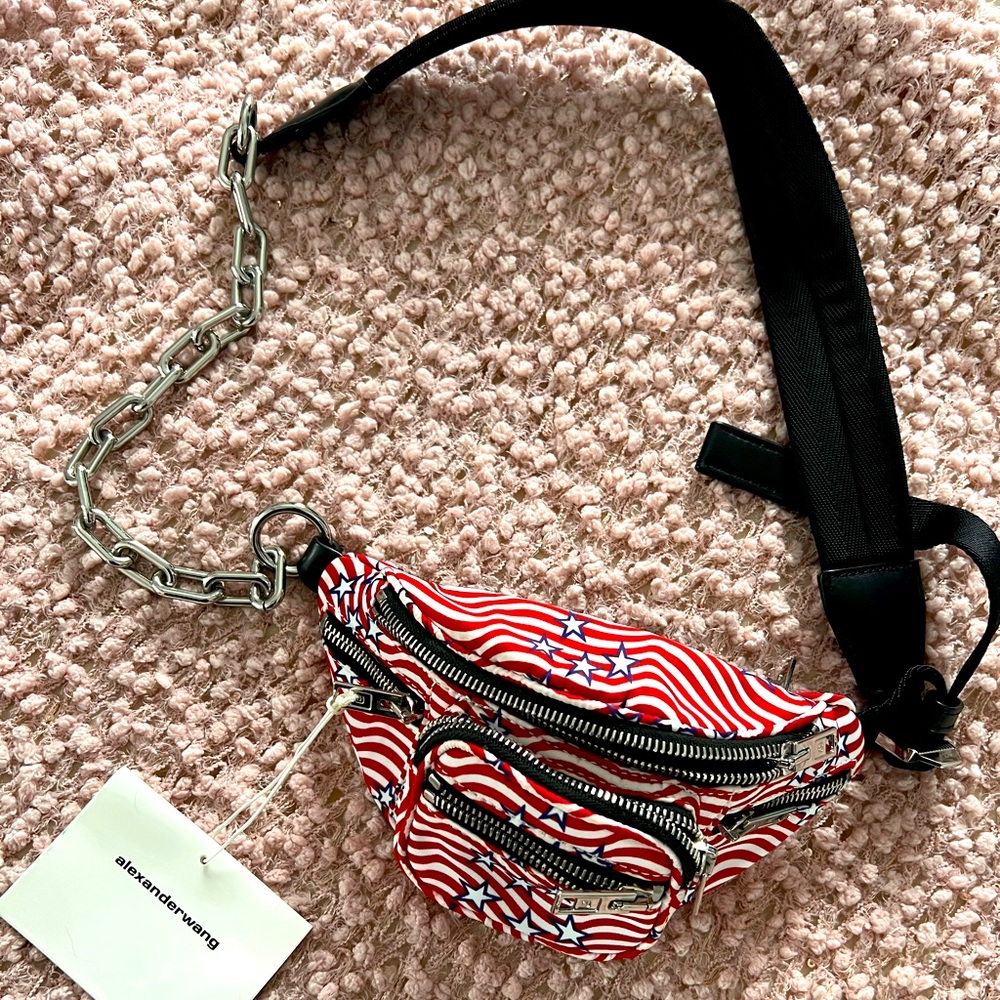 Alexander Wang fanny pack. New